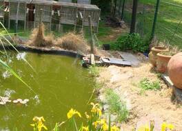 エレッカーリックイン イン ホテル 写真