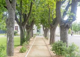 セリーズ カルカソンヌ シュッド 写真