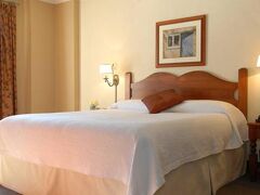 ソメ デ ネージュ 写真