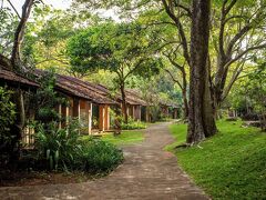 シギリヤ ヴィレッジ 写真