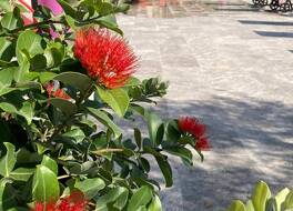 Les Aubuns Country Hotel 写真