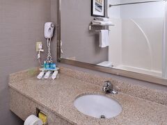 ホリデイ イン エクスプレス & スイーツ ロノーク by IHG 写真