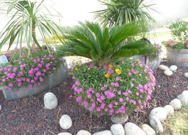 Brit Hotel Bosquet Carcassonne Cité 写真