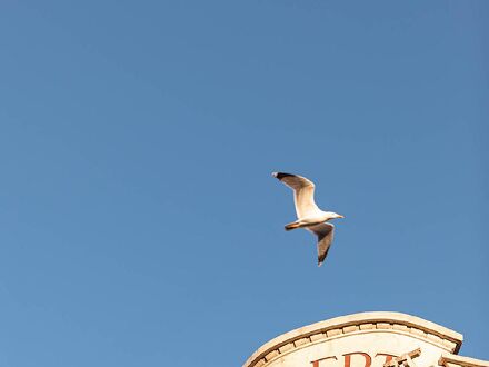 オテル アルベール プルミエ ニース 写真