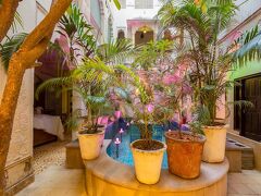 ジョティ マハル ア ロイヤル ヘリテージ 写真