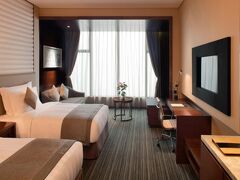 ラディソン ブル プラザ チョンギン 写真