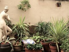 バイピロー イララ 写真