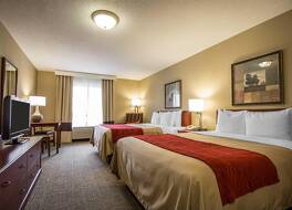 コンフォート イン アンド スイーツ 写真