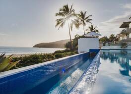 ティンギラナ ヌーサ 写真