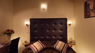 マジェンタコレクションカンチェロ