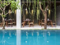 マルベリー コレクション シルク エコ 写真