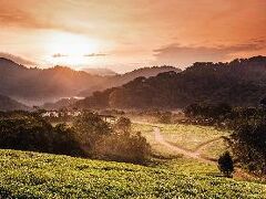 One and Only Nyungwe House 写真