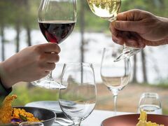 Wilderness Hotel Juutua 写真