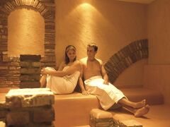 パーク プラザ トリーエル ホテル 写真