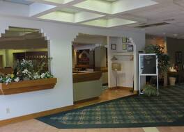 アメリコート エクステンデッド ステイズ