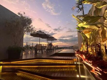 Minas Platinum 写真