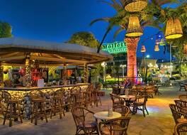 Molfetta Beach Hotel 写真