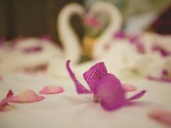 ザ エアポート ホテル 写真