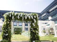 ヒルトン シアン 写真