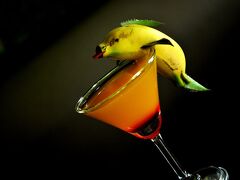 カサッパ ライオンズ ロック 写真