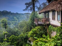 Nandini Jungle by Hanging Gardens 写真