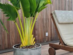 Carmel Express 写真