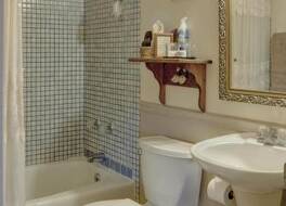 Blue Mountain Mist 写真