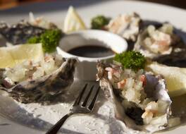 レイクフロント ロッジ タウポ 写真