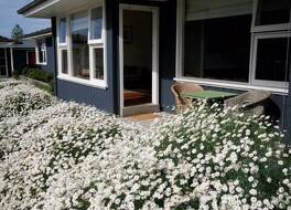 ビーチーズ バイ ザ シー 写真