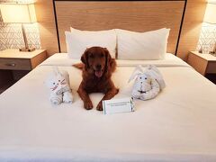 Westmark Whitehorse Hotel and Conference Center 写真