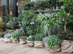 スターホテルズ E.c.ho. 写真