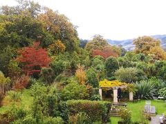 サイロステイ 写真