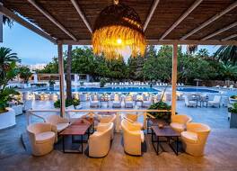 ゴールデンチューリッププレジデントハンマメット