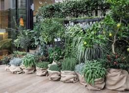 スターホテルズ E.c.ho. 写真