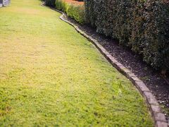 The Remington Motor Inn 写真