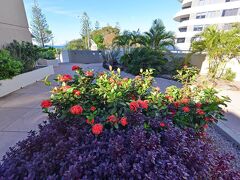 ベラードゥー ホリデイ アパートメンツ 写真