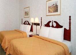 コンフォート イン クリスタル レイク - アルゴンキン 写真