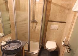 Alp Art Hotel 写真