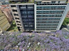 トゥリム イベリア ホテル 写真