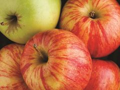 ラ キンタ イン&スイーツ バイ ウィンダム シカゴ ダウンタウン 写真