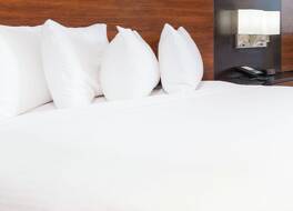 グランドキャニオン 写真