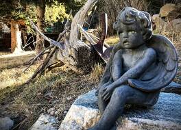 ローズ ストリート ベッド & ブレックファスト