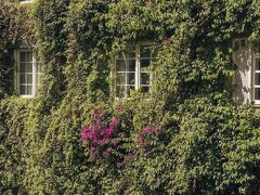 ホテル メヒコ シウダー 写真