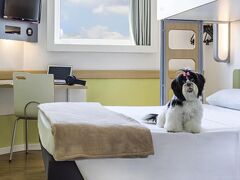 イビス バジェット ベロオリゾンテ ミナスセントロ 写真