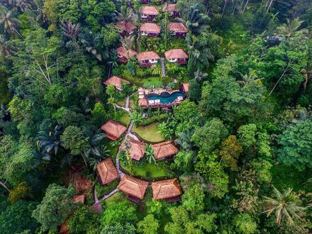 Nandini Jungle by Hanging Gardens 写真