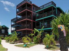 X'tan Ha- The Waterfront 写真