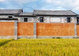 ザ リンデン センター 写真