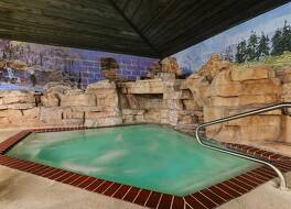 Stoney Creek Hotel and Conference Center - Quincy 写真