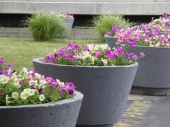 クオリティ イン & スイーツ ダウンタウン 写真