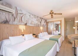 パラソル ガーデン 写真